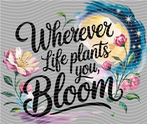 Best selling design-CX 1444